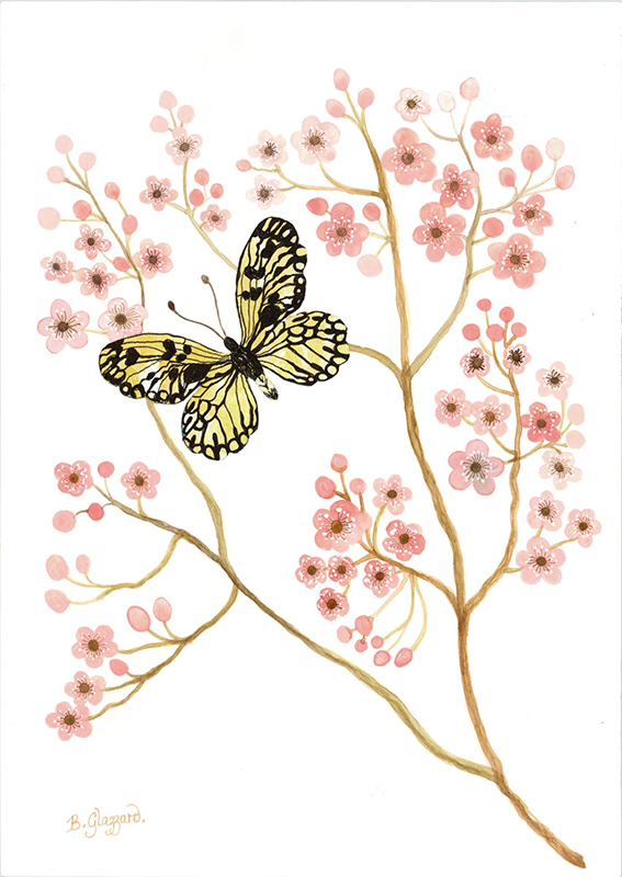 painting of a butterfly against pink blossom branches